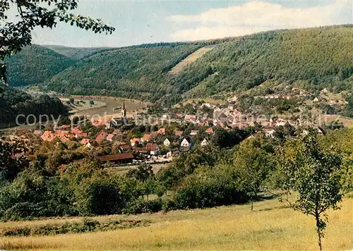 AK / Ansichtskarte Neckargerach Teilansicht  Kat. Neckargerach