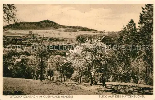 AK / Ansichtskarte Waldkatzenbach Katzenbuckel Kat. Waldbrunn