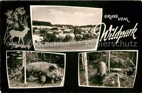 AK / Ansichtskarte Muelben Wildpark Teilansicht  Kat. Waldbrunn