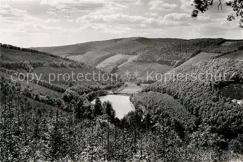 AK / Ansichtskarte Struempfelbrunn Bergsee Kat. Waldbrunn