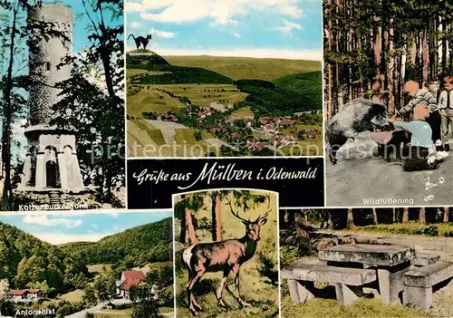 AK / Ansichtskarte Muelben Katzenbuckelturm Antonlust Wildfuetterung  Kat. Waldbrunn