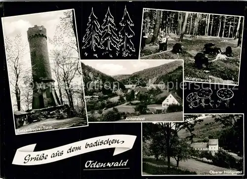 AK / Ansichtskarte Waldbrunn Odenwald Wildfuetterung Katzenbuckel Turm Antonslust Oberer Hoellgrund Kat. Waldbrunn