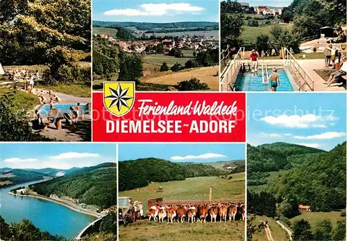 AK / Ansichtskarte Adorf Waldeck Schwimmbad Kuehe  Kat. Diemelsee