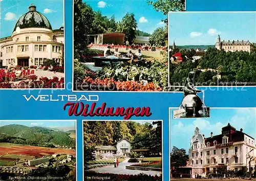 AK / Ansichtskarte Bad Wildungen Badehotel Sanatorium Quellenhof Schloss Friedrichstein  Kat. Bad Wildungen