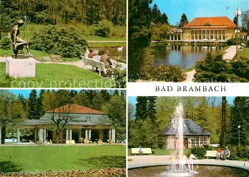 AK / Ansichtskarte Bad Brambach Nixe im Kurpark Festhalle Radonquelle Schillerquelle Kat. Bad Brambach