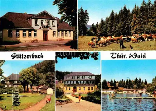 AK / Ansichtskarte Stuetzerbach Gasthaus Auerhahn Kuhherde Kurpark Goethehaus Schwimmbad Kat. Stuetzerbach