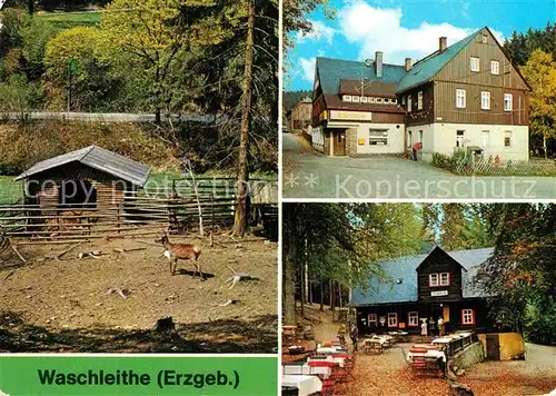 AK / Ansichtskarte Waschleithe Tierpark Gaststaette Osterlamm und Koehlerhuette Kat. Beierfeld Erzgebirge