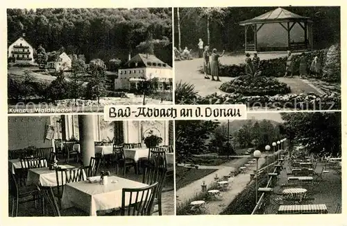 AK / Ansichtskarte Bad Abbach Kurhaus Waldfrieden Gaststube Kurpark Kat. Bad Abbach