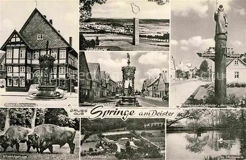 AK / Ansichtskarte Springe Deister Altes Petershaus Goebelbastei Marienbrunnen Ratsnachtwaechter Heinrich Wisentgehege Jagdschloss Im Volkspark Kat. Springe