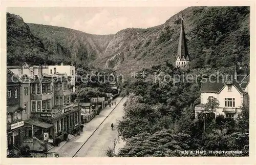 AK / Ansichtskarte Thale Harz Hubertusstrasse Kat. Thale