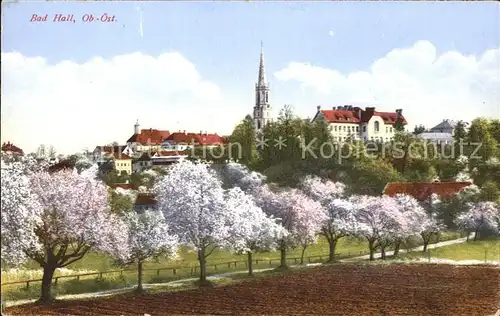 AK / Ansichtskarte Bad Hall Oberoesterreich Teilansicht Kat. Bad Hall