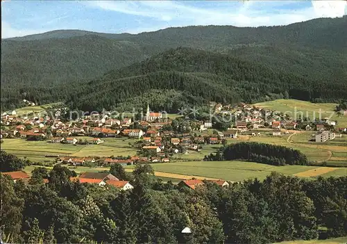 AK / Ansichtskarte Hohenwarth Koetzting Stadtansicht Kat. Hohenwarth