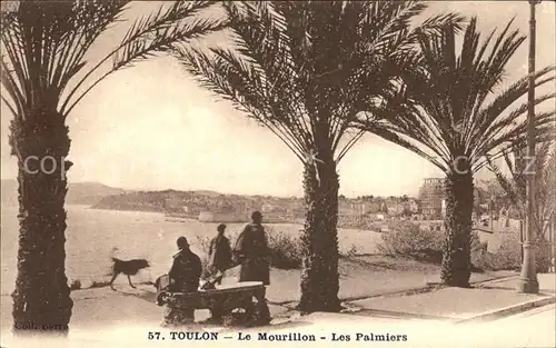 AK / Ansichtskarte Toulon Var Le Mourillon Les Palmiers Kat. Toulon