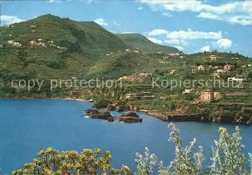 AK / Ansichtskarte Ischia Giardino delle Ninfe e Cartaromana Garten der Nymphen und Cartaromana Kat. 