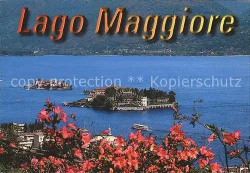 AK / Ansichtskarte Isola Bella Isola Pescatori Blumen Kat. Lago Maggiore