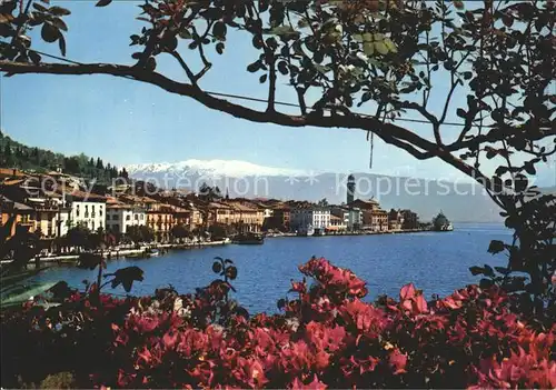 AK / Ansichtskarte Salo Lago di Garda Panorama Gardasee Blumen Kat. 