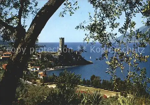AK / Ansichtskarte Malcesine Lago di Garda Panorama Schloss Gardasee Kat. Malcesine