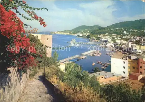 AK / Ansichtskarte Lacco Ameno Panorama Hafen Kat. Ischia Insel Golfo di Napoli