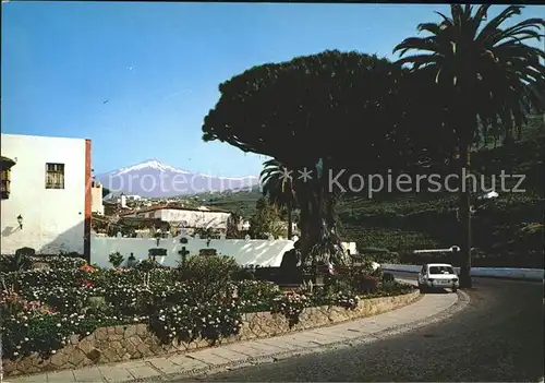 AK / Ansichtskarte Icod de los Vinos  Kat. Tenerife Islas Canarias Spanien