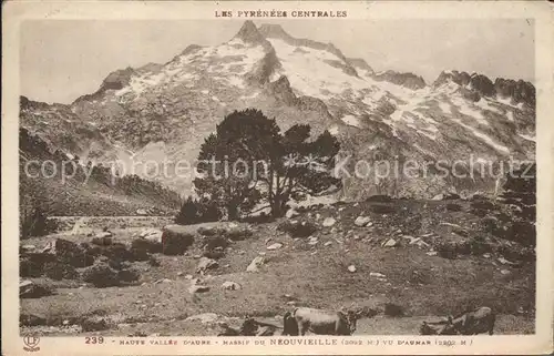 AK / Ansichtskarte Pyrenees Region Central Kat. Lourdes
