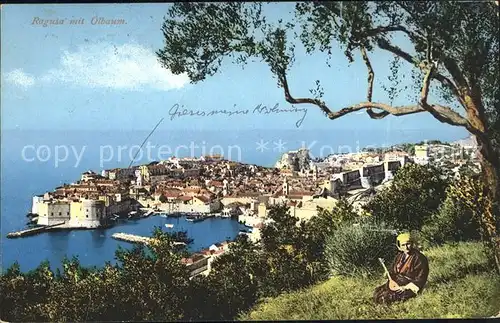 AK / Ansichtskarte Ragusa oelbaum Kat. Dubrovnik