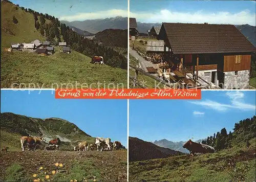 AK / Ansichtskarte Goertschach Jausenstation Poludniger Alm Viehweide Panorama Kat. Oesterreich