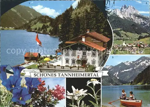 AK / Ansichtskarte Tannheim Tirol Hotel Alpenhof Haldensee Rotflueh Gimpel Vilsalpsee Kat. Tannheim