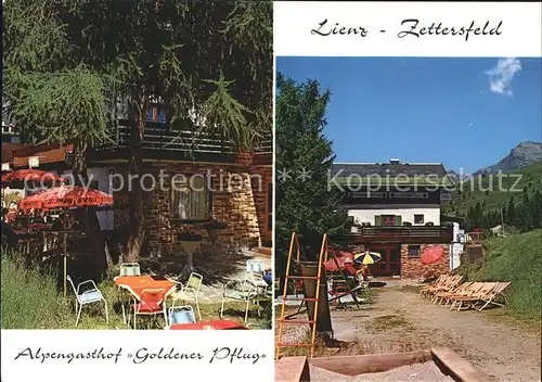 AK / Ansichtskarte Zettersfeld Tirol Alpengasthof Goldener Pflug Kinderspielplatz Kat. Thurn