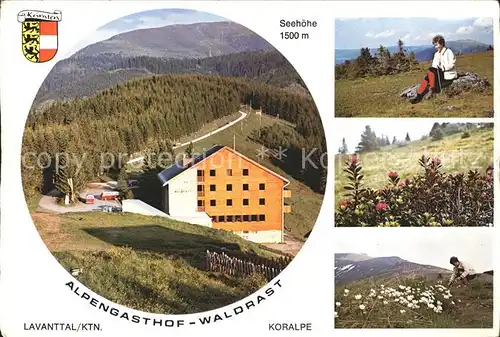 AK / Ansichtskarte Lavant Tirol Alpengasthof Waldrast Lavanttal Koralpe Kat. Lavant