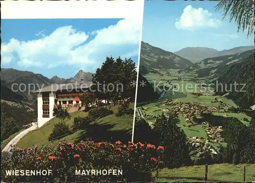 AK / Ansichtskarte Mayrhofen Zillertal Alpengasthof Wiesenhof mit Brandenberg Kolm und Talblick Kat. Mayrhofen