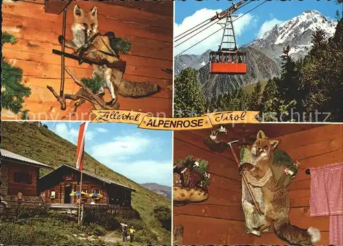 AK / Ansichtskarte Mayrhofen Zillertal Jausenstation Alpenrose Seilbahn Ahornspitze Praeparierter Fuchs Kat. Mayrhofen