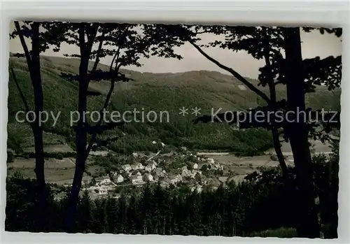 AK / Ansichtskarte Langenthal Odenwald Panorama  Kat. Hirschhorn (Neckar)