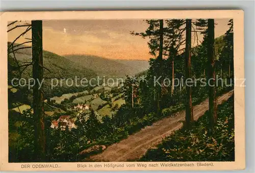 AK / Ansichtskarte Waldkatzenbach Bick in den Hoellgrund Kat. Waldbrunn