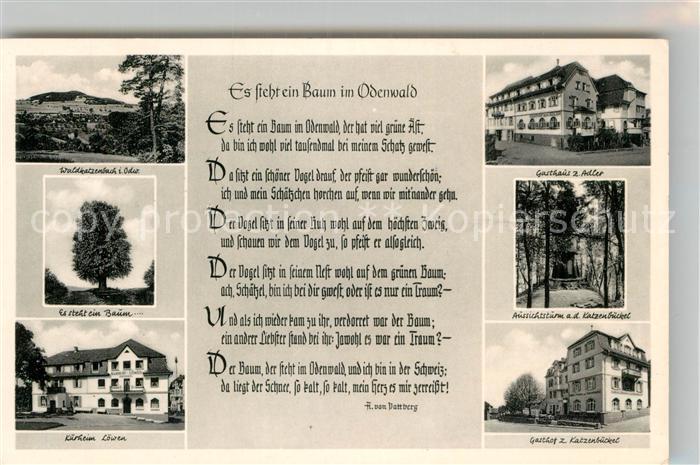 Ak Ansichtskarte Waldkatzenbach Gedicht Baum Im Odenwald Gasthaus