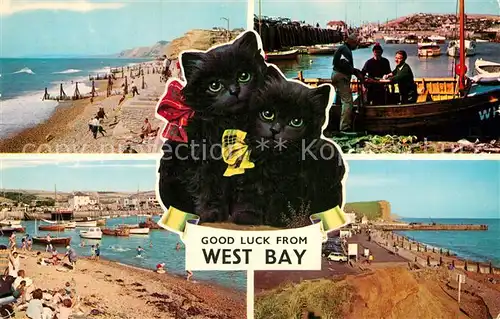 AK / Ansichtskarte West Bay Dorset Beach West Cliff Harbour Promenade East Cliff Black Cats