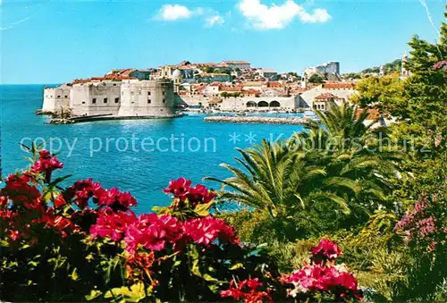 AK / Ansichtskarte Dubrovnik Ragusa Panorama Blick zur Festung und Altstadt Kat. Dubrovnik