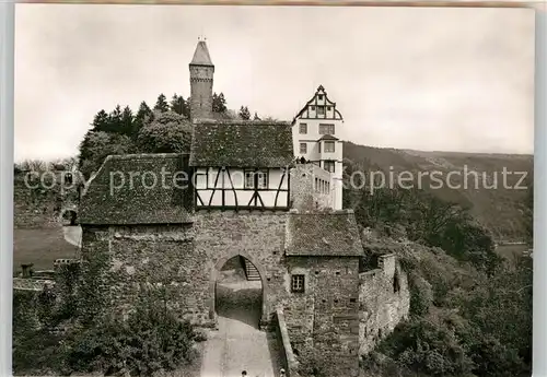 AK / Ansichtskarte Hirschhorn Neckar Burg  Kat. Hirschhorn (Neckar)