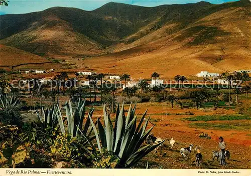 AK / Ansichtskarte Fuerteventura Kanarische Inseln Vega de Rio Palmas Kat. 