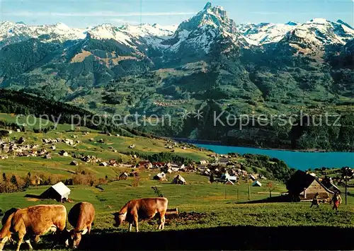 AK / Ansichtskarte Amden SG Panorama Blick auf Walensee und Muertschenstock Viehweide Kuehe Kat. Amden