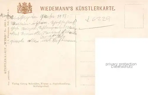 AK / Ansichtskarte Verlag Wiedemann WIRO Nr. 1993 A Wildbad Schlangenbad  Kat. Verlage
