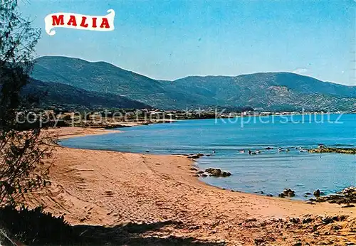 AK / Ansichtskarte Malia Strand  Kat. Insel Kreta