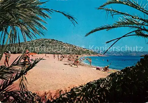 AK / Ansichtskarte Vai Strand Palmenwald Kat. Insel Kreta