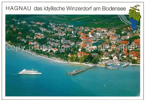 AK / Ansichtskarte Hagnau Bodensee Fliegeraufnahme Kat. Hagnau am Bodensee