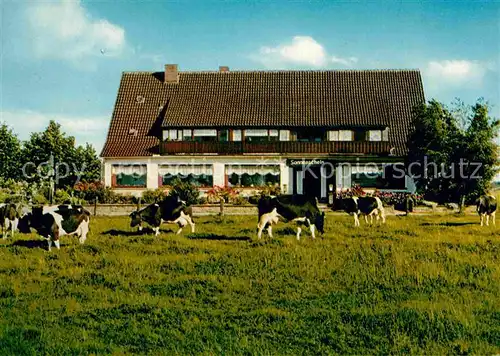 AK / Ansichtskarte Lohe Bad Oeynhausen Cafe Restaurant Sonnenschein Kat. Bad Oeynhausen