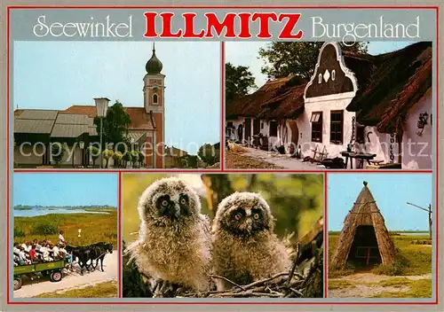 AK / Ansichtskarte Illmitz Kirche Barockgiebelhaus Pferdewagen Junge Eulen Schilfhuette Puszta Kat. Illmitz