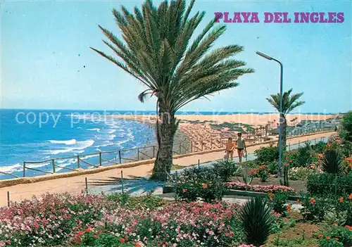 AK / Ansichtskarte Playa del Ingles Gran Canaria Paseo y playa Strand Promenade Palmen Kat. San Bartolome de Tirajana