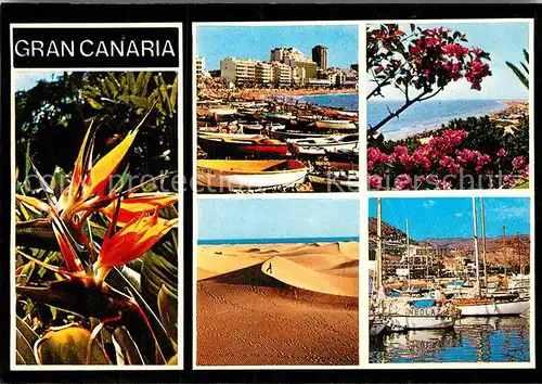 AK / Ansichtskarte Gran Canaria Diversos aspecto Blumen Hafen Fischerboote Wuestenlandschaft Duenen Kat. Spanien