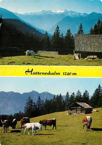 AK / Ansichtskarte Bad Goisern Salzkammergut Alpengasthaus Huetteneckalm Almvieh Kuehe Alpenpanorama Kat. Bad Goisern