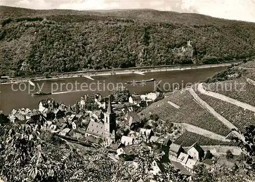 AK / Ansichtskarte Assmannshausen Panorama 