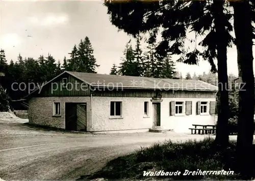 AK / Ansichtskarte Neustadt Rennsteig Waldbaude Dreiherrnstein Kat. Neustadt Rennsteig